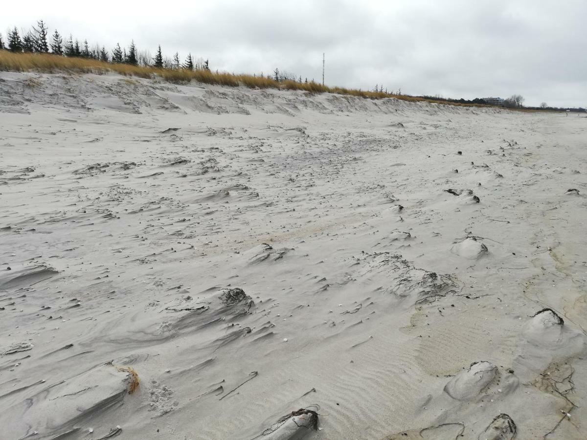 Darsser Strandgut - Haus Ahrenshooper Holz Luaran gambar