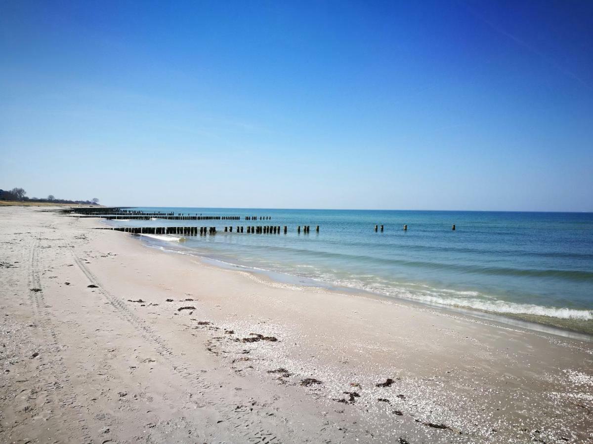 Darsser Strandgut - Haus Ahrenshooper Holz Luaran gambar